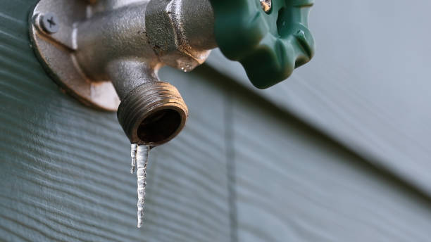 Best Emergency Plumber  in Pagould, AR